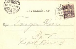 Hódmezővásárhely, Református főgimnázium. Art Nouveau