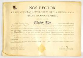 1923 Szegedi Ferenc József egyetem jogi és államtudományi diplomák + egy hozzá tartozó leckekönyv borító nélkül.