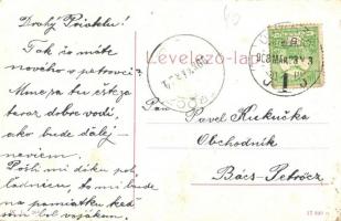 Újvidék, Novi Sad; Evangélikus templom. W. L. 266. / Evang. Kirche / church (EK)