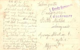 Újvidék, Novi Sad; látkép, pontonhíd (hajóhíd). W. L. Bp. 6368. / general view, pontoon bridge (EK)