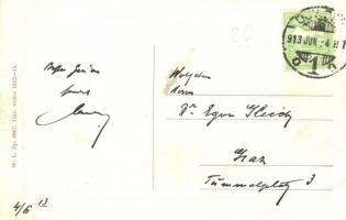 Újvidék, Novi Sad; látkép, pontonhíd (hajóhíd). W. L. Bp. 6367. / general view, pontoon bridge (fa)