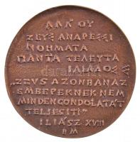 Borsos Miklós (1906-1990) 1977. "Bibó István 1977" Br emlékérem (84mm) T:2