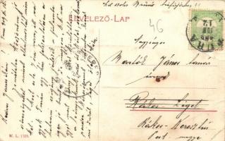 Tura, Báró Schossberger kastély. W. L. 1328. (?) (fa)