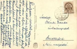 Ökörmező, Volove Polje, Mizhhirya; Fő utca, üzletek. Steinberg Testvérek kiadása / main street, shop...