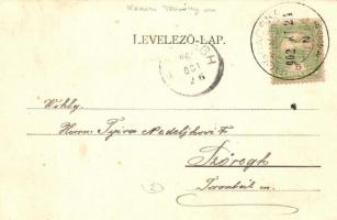 Dognácska, Dognecea; látkép / panorama view  (EK)