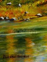 Bicskei Sándor (?-?): Koraősz a hegyekben, olaj, vászon, jelzett, 40,5×55,5 cm