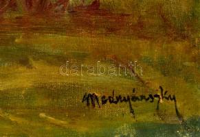 Mednyánszky jelzéssel: Hegyvidéki táj. Olaj, vászon, foltos, 58×45 cm