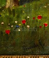 Neogrády jelzéssel:Hazafelé. Olaj, vászon, keretben, 34×44 cm