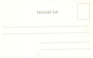 Kolozsvár, Cluj; Központi egyetem / university