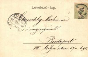 Kudzsir, Kudsir, Cugir; Fő tér, piac szekerekkel. Adler Alfréd fényképész / market square (EK)