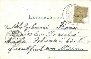 Menyháza, Moneasa; Fürdő épület homlokzata / spa (EK)