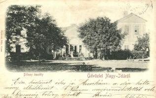 1900 Nagyida, Velká Ida; Dióssy kastély. Nyulászi Béla kiadása / castle (kis szakadás / small tear)