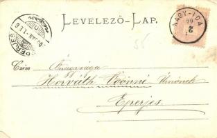 1900 Nagyida, Velká Ida; Dióssy kastély. Nyulászi Béla kiadása / castle (kis szakadás / small tear)