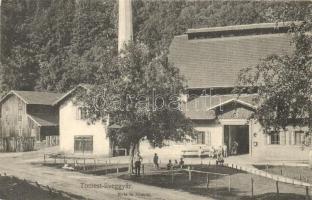 Tomest, Tamásd, Tomesti; Üveggyár, huta és főraktár / glass factory, main warehouse