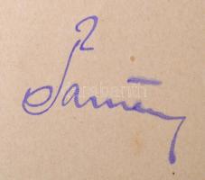 1903 Szamovolszky Gyula erdőszámtiszt előléptetése, Máramarossziget,Tallián Béla (1851-1921) földműv...