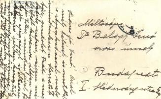 1929 Léva, Levice; Városháza, Vámos Mór és Trebitsch Ignácz üzlete, teherautó. Dobrovitzky kiadása /...