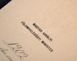 1911 Szamolányi Gyula költő erdőszámvizsgálói kinevezése, Máramarossziget, Serényi Béla (1866-1919) ...