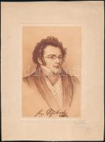 Robert Aust (?-?): Franz Schubert. Rézkarc, papír, jelzett, 16×11 cm