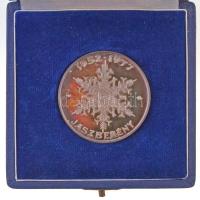 1977. "25 éves a hűtőgépgyár / 1952-1977 Jászberény" peremén jelzett Ag emlékérem dísztokb...
