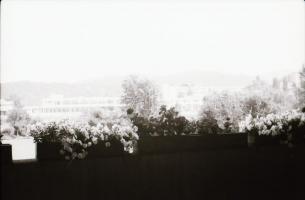 1981 Kazincbarcika, cca 420 db szabadon felhasználható, nagyon jó minőségű vintage negatív, felirato...