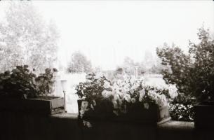 1981 Kazincbarcika, cca 420 db szabadon felhasználható, nagyon jó minőségű vintage negatív, felirato...