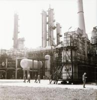 1981 Kazincbarcika, cca 420 db szabadon felhasználható, nagyon jó minőségű vintage negatív, felirato...