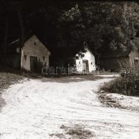 1981 Kazincbarcika, cca 420 db szabadon felhasználható, nagyon jó minőségű vintage negatív, felirato...