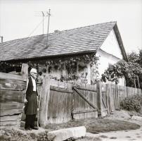 1981 Kazincbarcika, cca 420 db szabadon felhasználható, nagyon jó minőségű vintage negatív, felirato...