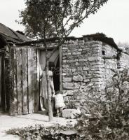 1981 Kazincbarcika, cca 420 db szabadon felhasználható, nagyon jó minőségű vintage negatív, felirato...