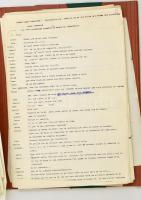 Vaszary János (1899-1963) Megámodtalak című  filmexpozéja, és egy cím nélküli darabjának magyar nyel...