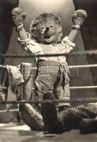 38 db-os MODERN német sündisznós képeslap sorozat / 38 modern German Hedgehog motive cards serie