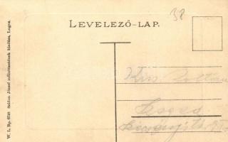 Lugos, Lugoj; látkép, híd. W. L. Bp. 6748. Szidon József kiadása / general view, bridge. TCV card (E...