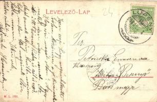 Lupény, Lupeni; Kokszgyár művek, sodronypálya. W. L. 1701. / coke works, factory, wire path, ropeway...