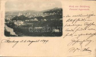 1899 Segesvár, Schassburg, Sighisoara; látkép. Petrovits kiadása / general view (EK)