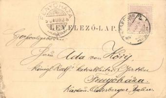 1899 Segesvár, Schassburg, Sighisoara; látkép. Petrovits kiadása / general view (EK)