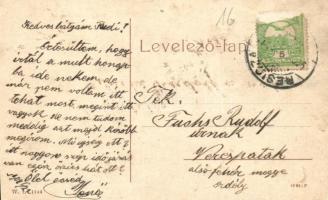 Resicabánya, Resita; látkép, gyár. W. L. 1144. / factory, works, city view (EK)