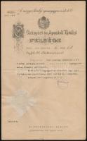 1917 Vázsonyi Vilmos (1868-1926) igazságügy-miniszter aláírása ügyészi kinevezési papíron