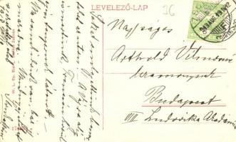 Vágsziklás, Szkalka-Benedek, Skalka nad Váhom (Trencsénteplic); Vágvölgy. Apátsági romok. W. L. Bp. ...