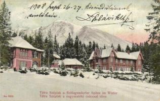 Tátraszéplak, Weszterheim, Tatranska Polianka; Nagyszalóki csúcs télen, szálloda. Franz Pietschmann No. 2662. / Schlagendorfer Spitze im Winter / mountain peak in winter, hotel (EK)