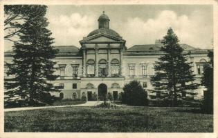 Kistapolcsány, Topolcianky; Gróf Keglevich (József kir. herceg) kastély. Sarolta Munk kiadása / Velky Zámok / castle (EK)