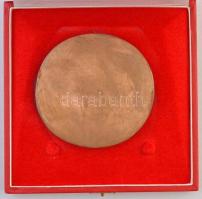 DN "40 éves szolgálatért Dorogi Szénbányák" egyoldalas Br plakett dísztokban. Szign.: K (9...