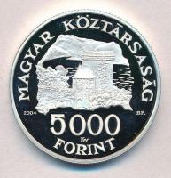 2004. 5000Ft Ag "Visegrádi vár" T:PP felületi karc
Adamo EM192
