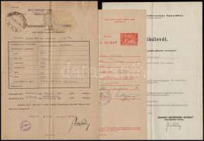 1939-1943 "Amica" és "Hubertus" nevű versenylovak származási igazolványa, csikól...