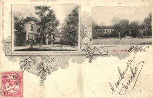 Kapuvár, Vár, Esterházy kastély. Buxbaum József kiadása, floral Art Nouveau, TCV card (vágott / cut)