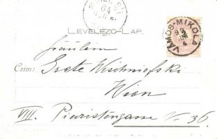 1899 Cegléd, Gróf Kreith-féle 1848-as és Kossuth Múzeum, belső (kopott sarkak / worn corners)