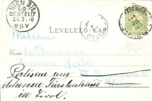 1900 Máriaradna, Radna; Solymosi vár. Gregor Fischer 4382. / Soimos Castle, floral Art Nouveau (vágo...