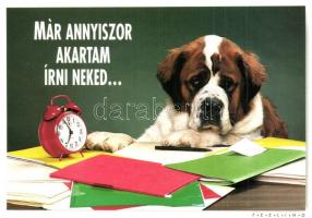 4 db VEGYES kutya motívumlap / 4 mixed dog motive postcards