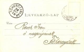 1898 Kaposvár, Fő utca, Megyeháza, Államvasutak Tápintézete. Gerő Zsigmond kiadása (EK)