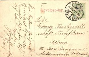 Budapest XIII. Margit híd. No. 208. (kopott sarkak / worn corners)