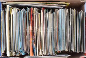 Rendkívül érdekes modern képeslap tétel, cipős doboz tele magyar és külföldi városképes és motívum l...